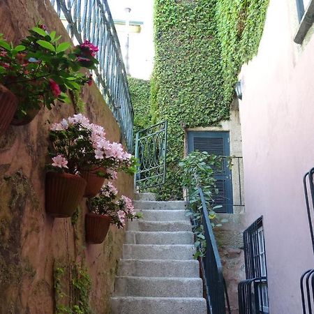 Casa Da Belavista Apartment Porto Ngoại thất bức ảnh